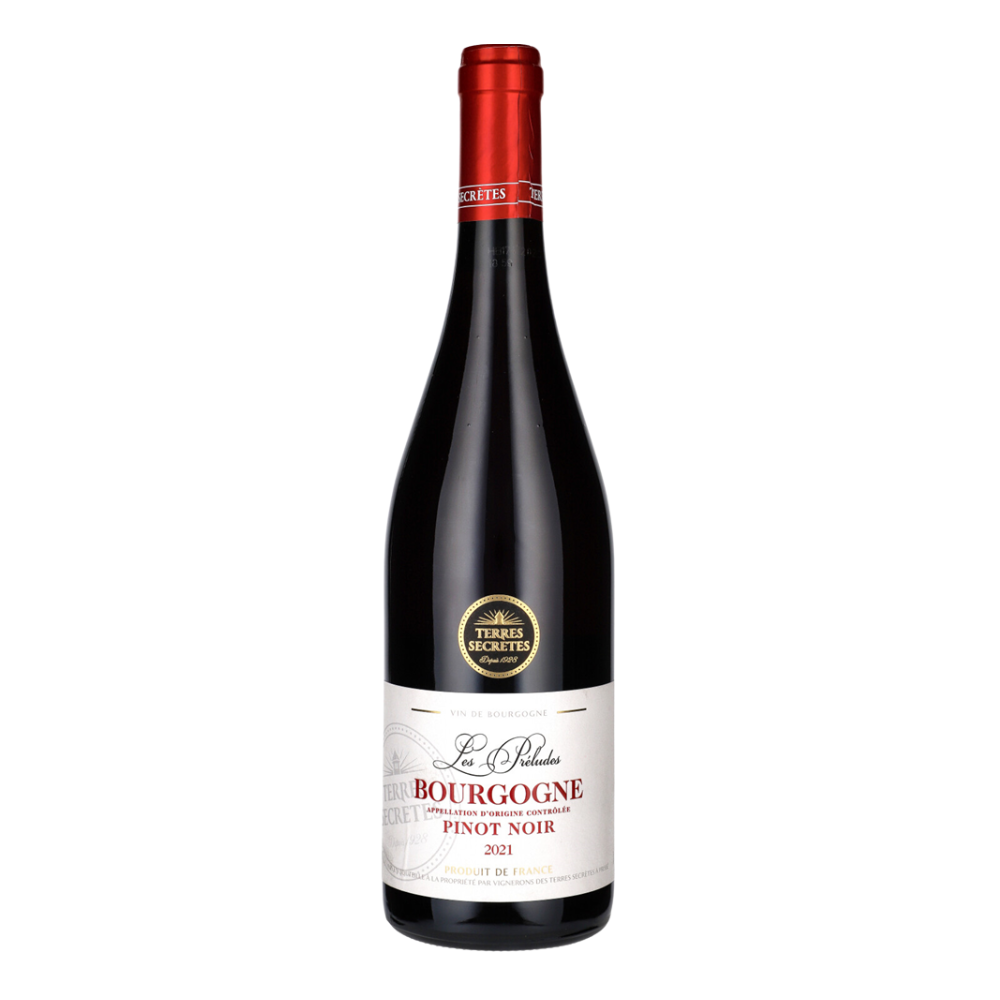 Wino Terres Secretes Bourgogne Pinot Noir 2022 12,5% czerwone wytrawne 750 ml