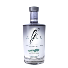 Gin G'Vine Nouaison 43,9% 50 ml