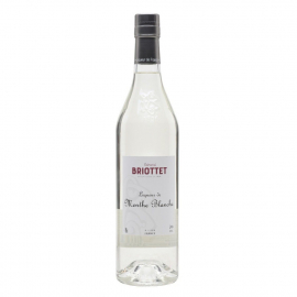 Likier Briottet Menthe Blanche 24% 700 ml