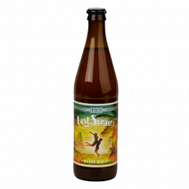 Piwo Raduga Last Summer 4,6% 500 ml