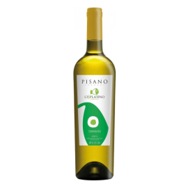 Wino Pisano Cisplatino Torrontes 13% białe wytrwane 750 ml